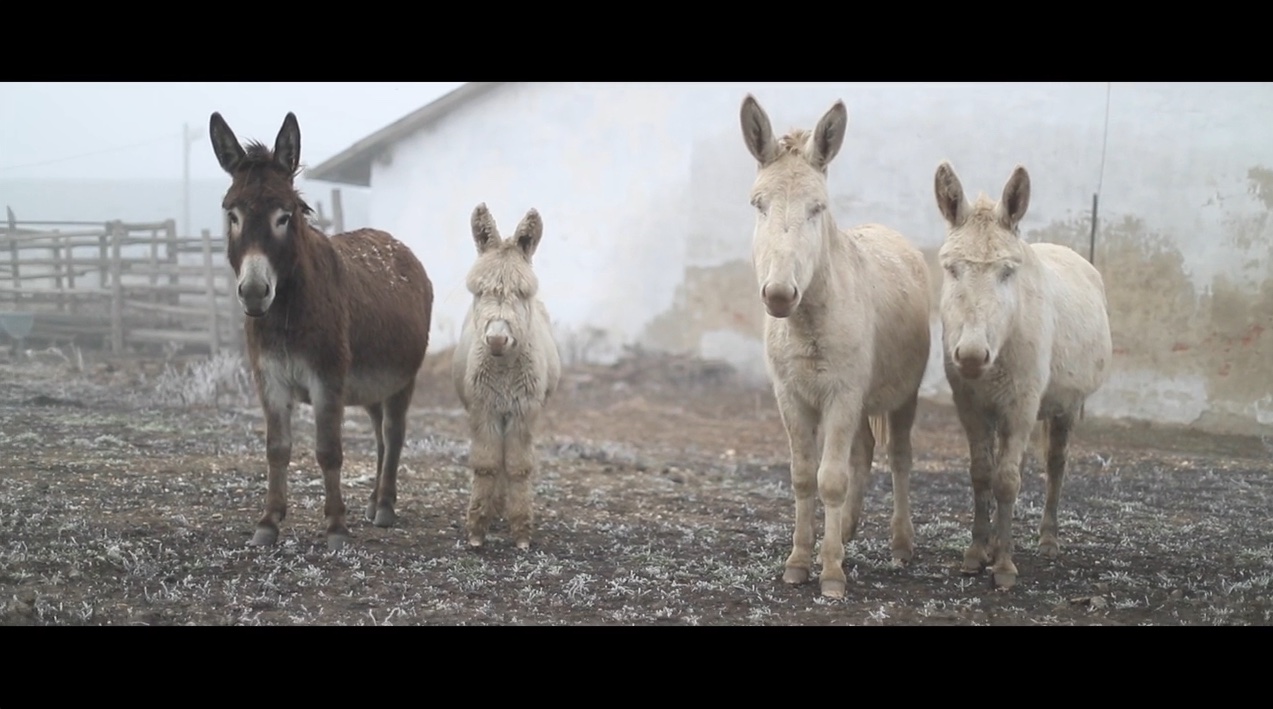 Jó helyen jársz&nbsp;:)