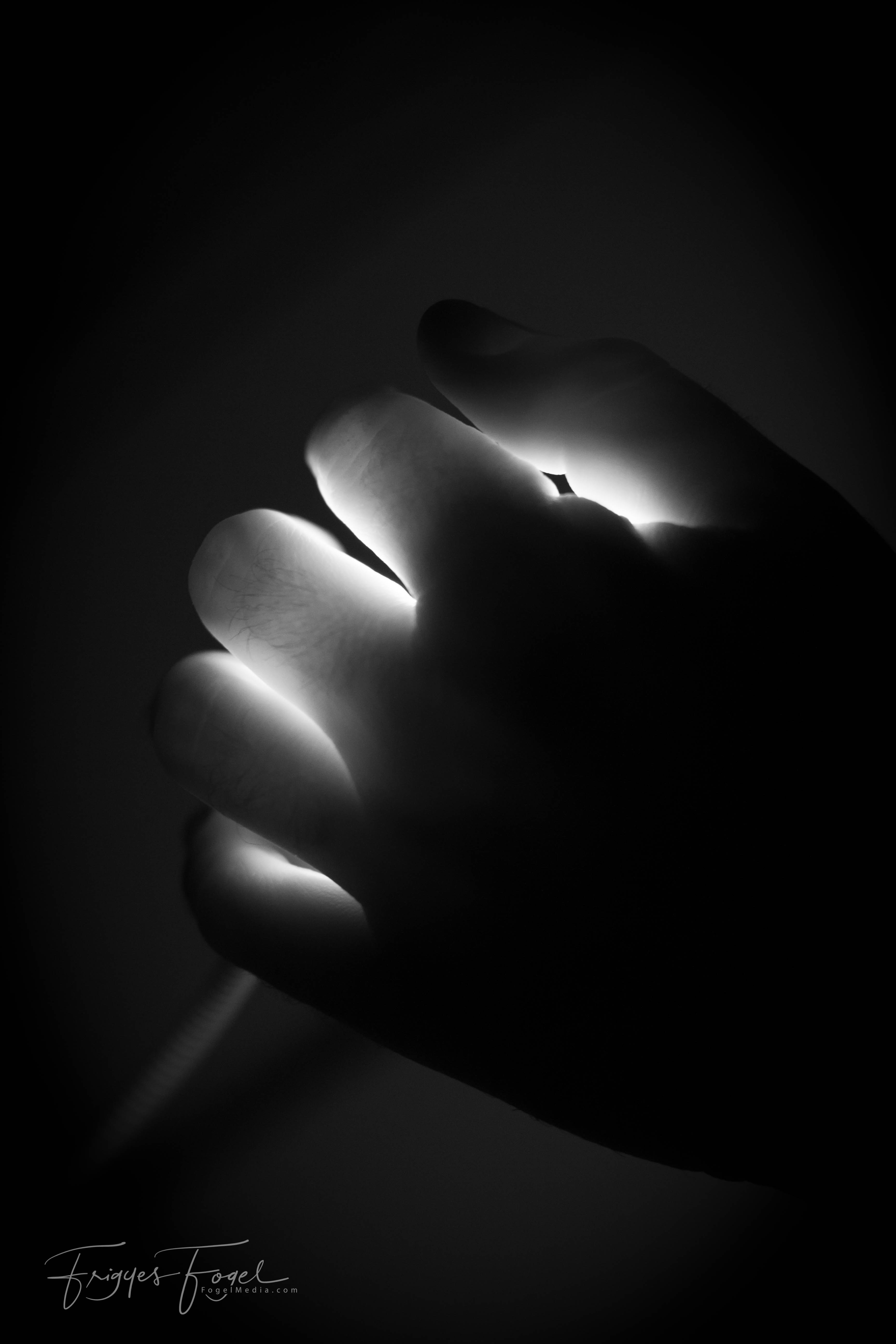 A vadkeleti filmes és egy taxis (utolsó)&nbsp;mohikán…