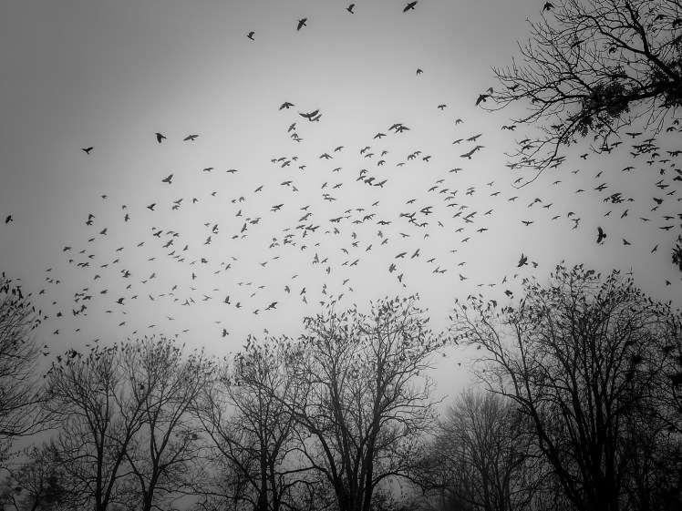 Útközben… Örvénylésben…