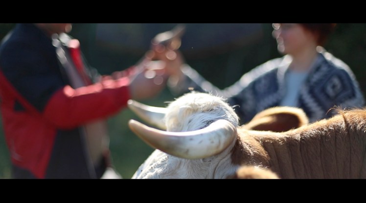 Fordulat Gannában…