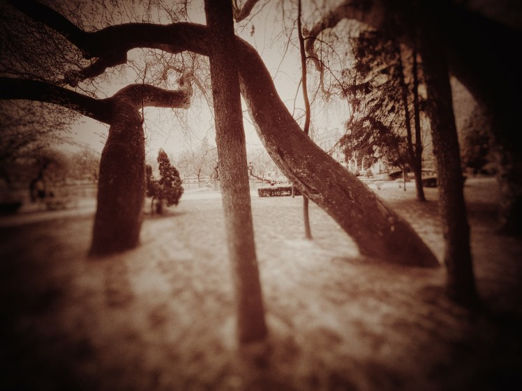 Ismét elszabadultam! Én, az őrült! Kérem a nyaktilót – a  guillotine-t előkészíteni, és az öveket&nbsp;bekapcsolni!