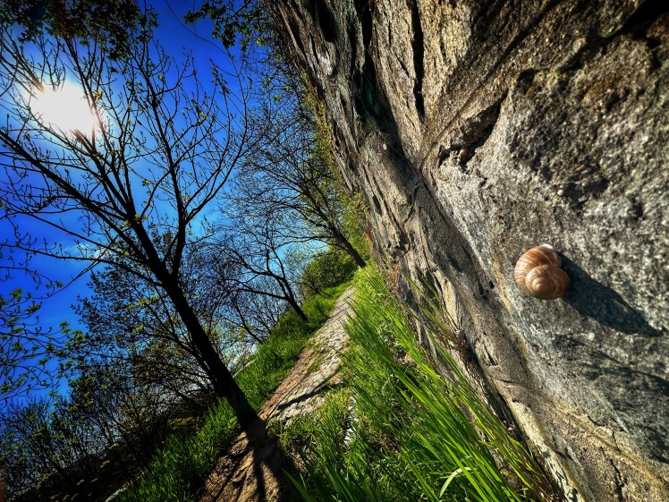 A fellegvárnál lőttem ezt a képet (Kolozsvár), utána lerogytam a csiga-biga mellé a&nbsp;fűbe…