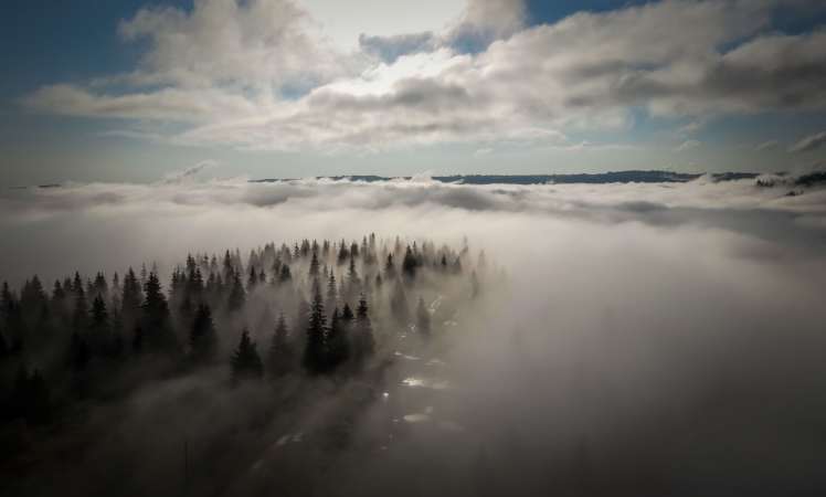 Zuhanva szeretni… (katt a&nbsp;képre)