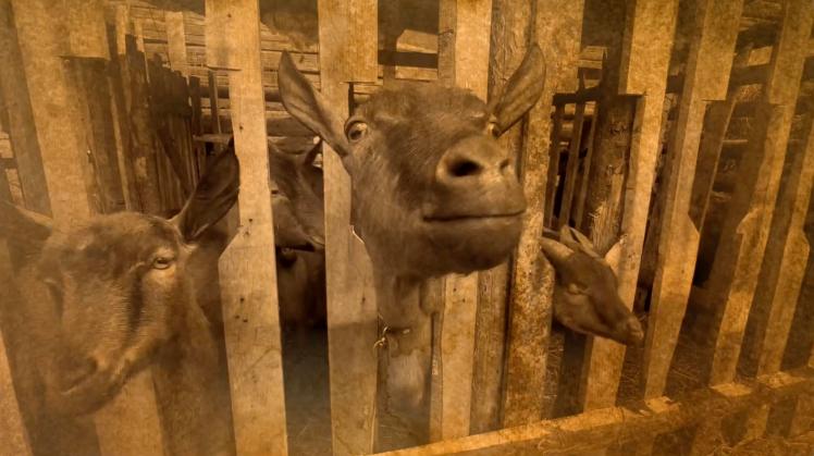 9 kemény perc… 9 kemény perc…