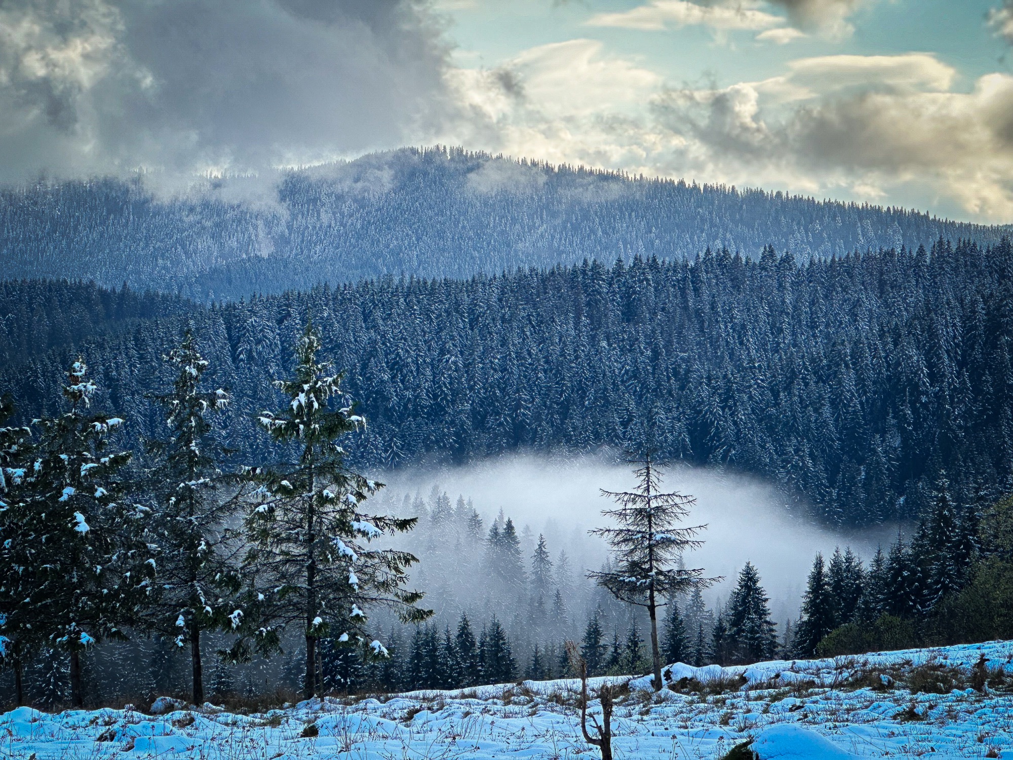 Az emberek… Az emberek…