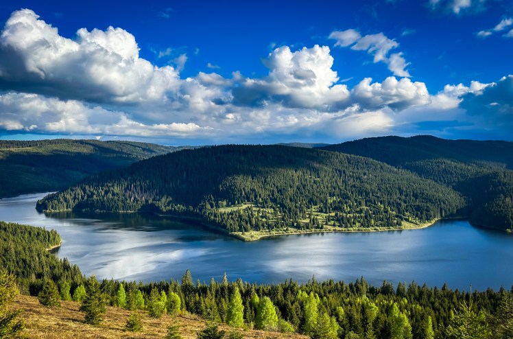 “Remény”… Ezt tegnap kora este fotóztam. “Remény”… Ezt tegnap kora este fotóztam.