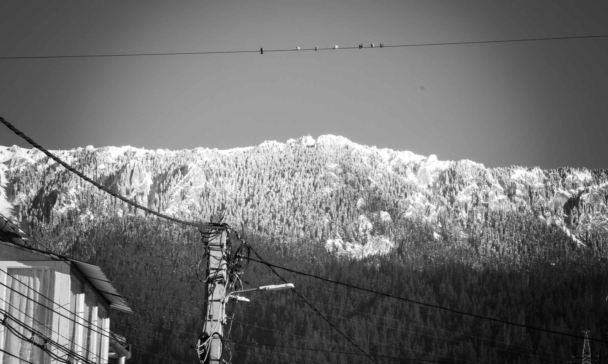 Eltűnődöm néha, nem csak azért segítenek-e az emberek másokon (…) Eltűnődöm néha, nem csak azért segítenek-e az emberek másokon (…)
