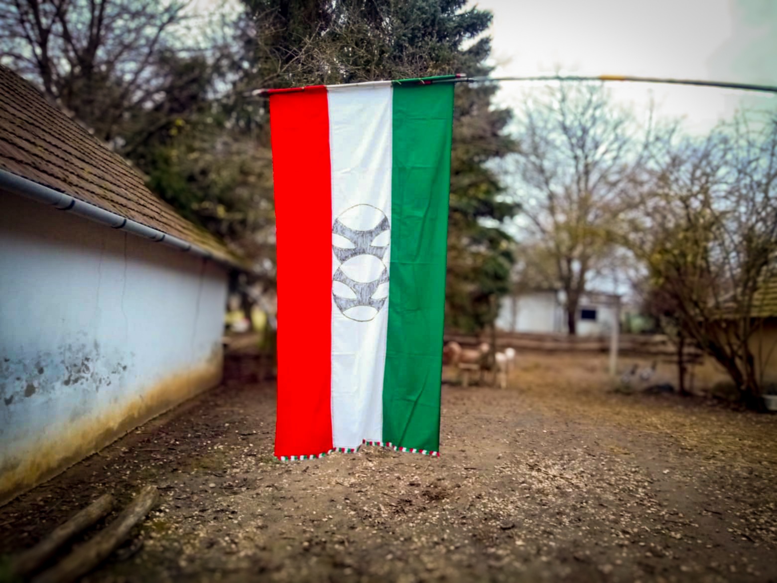 Na ilyen sem történt velem az utóbbi 15 év filmezéseim alatt… Na ilyen sem történt velem az utóbbi 15 év filmezéseim alatt…