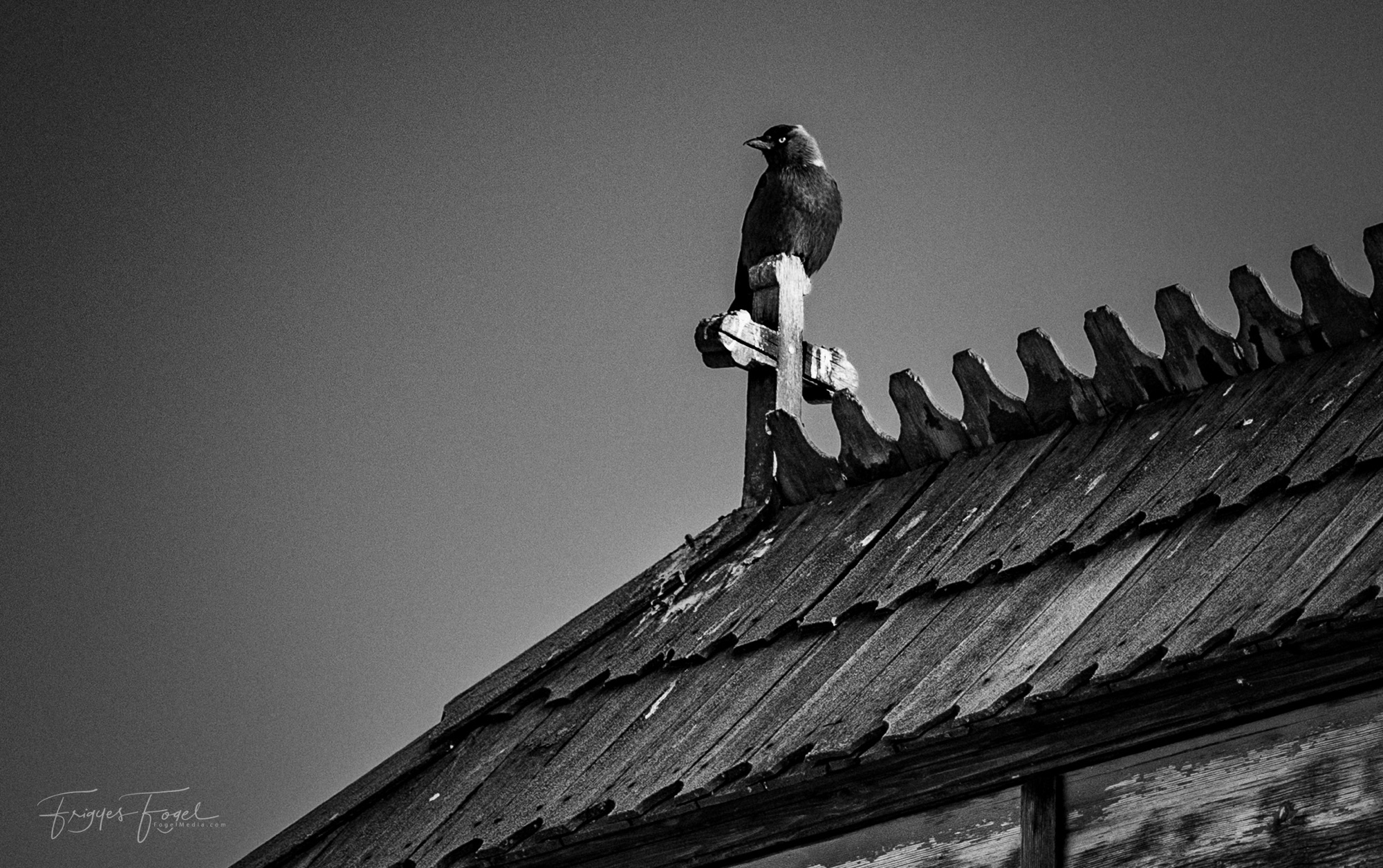 Holnap, pénteken új Podcast adás… Holnap, pénteken új Podcast adás…