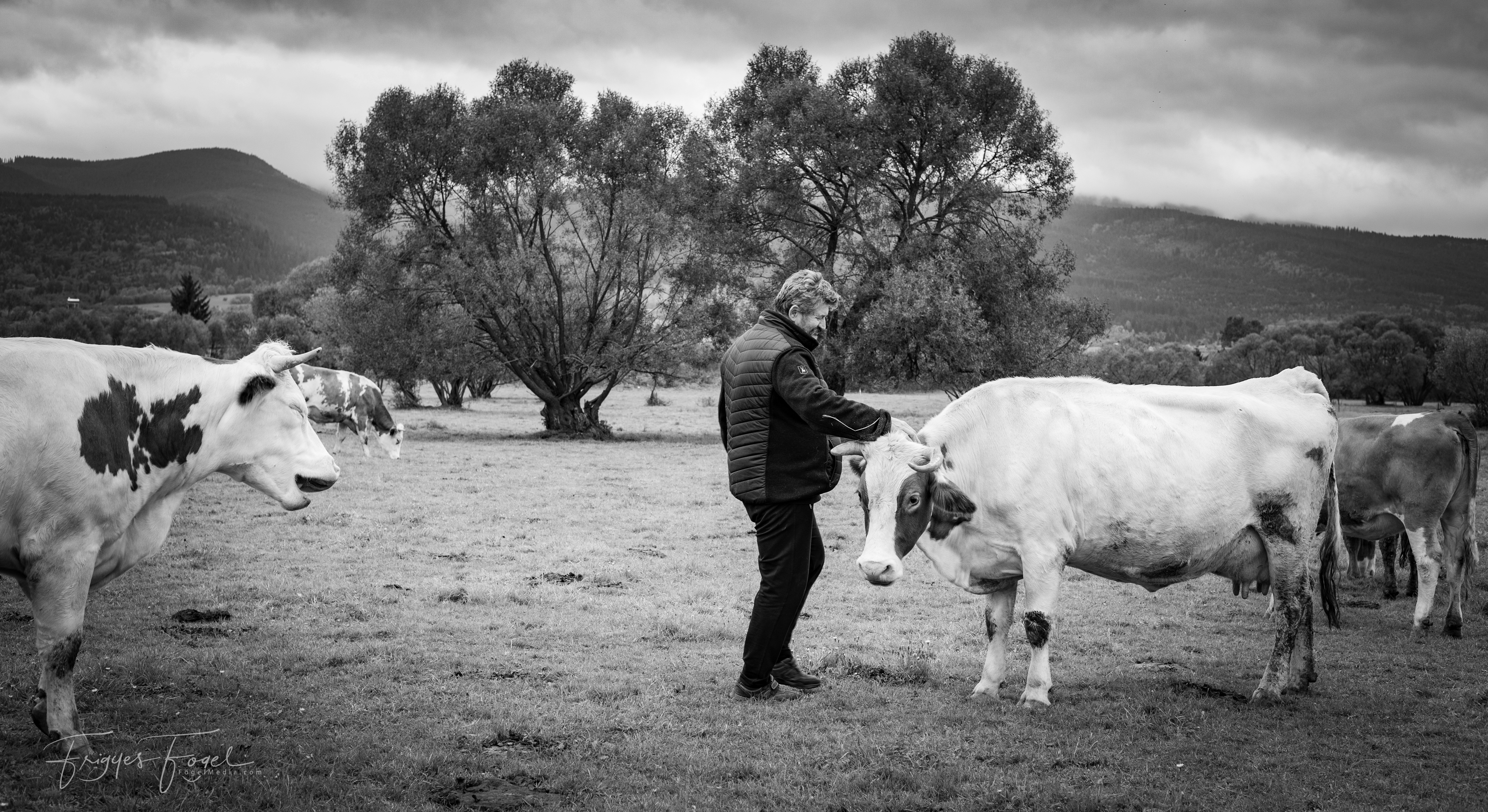 Bányász József (tejbánya) szombaton írt egy megrázó vallomást az&nbsp;oldalára…