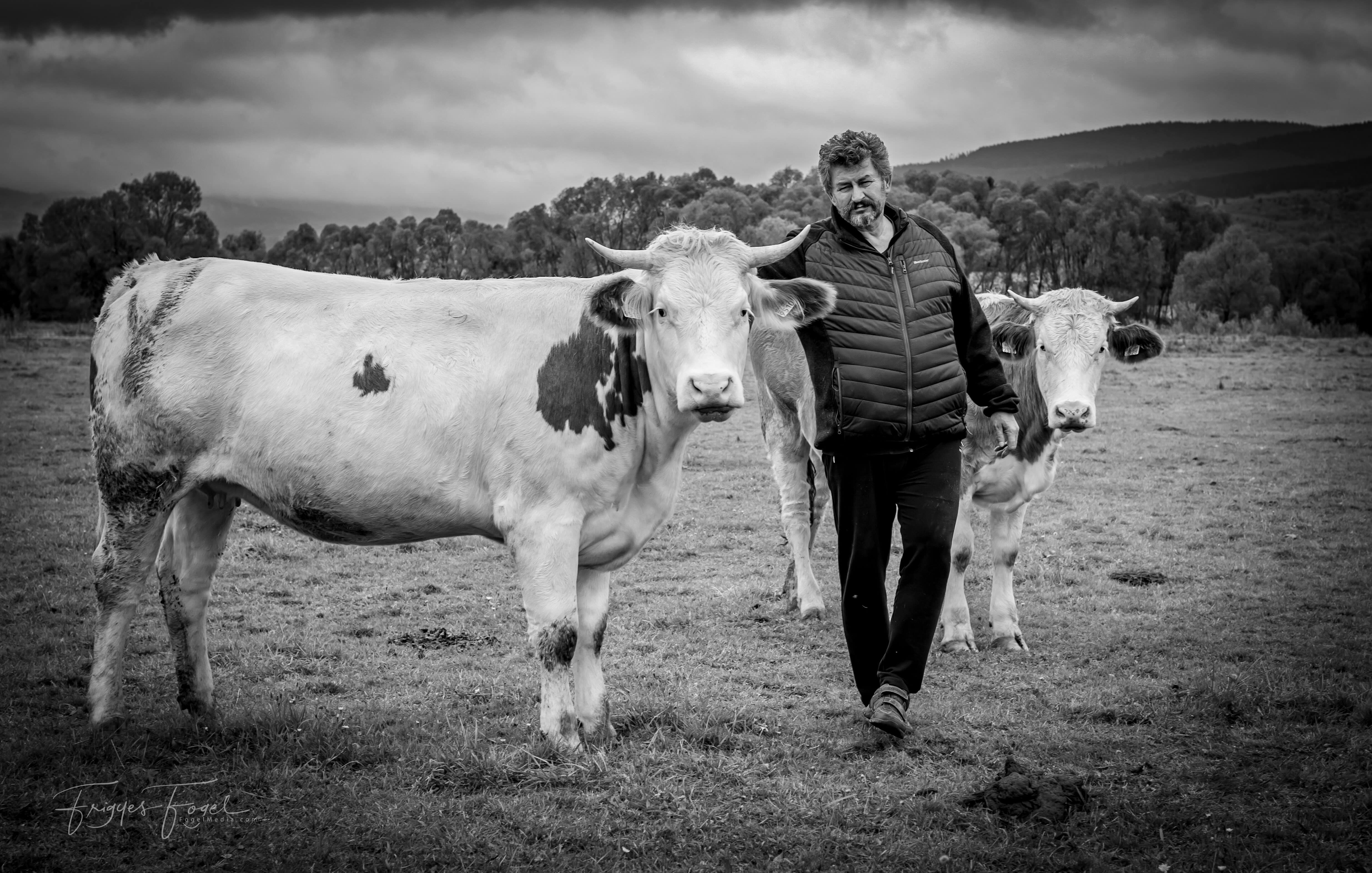104 ezren látták a Bányász Józseffel készült&nbsp;filmünket.