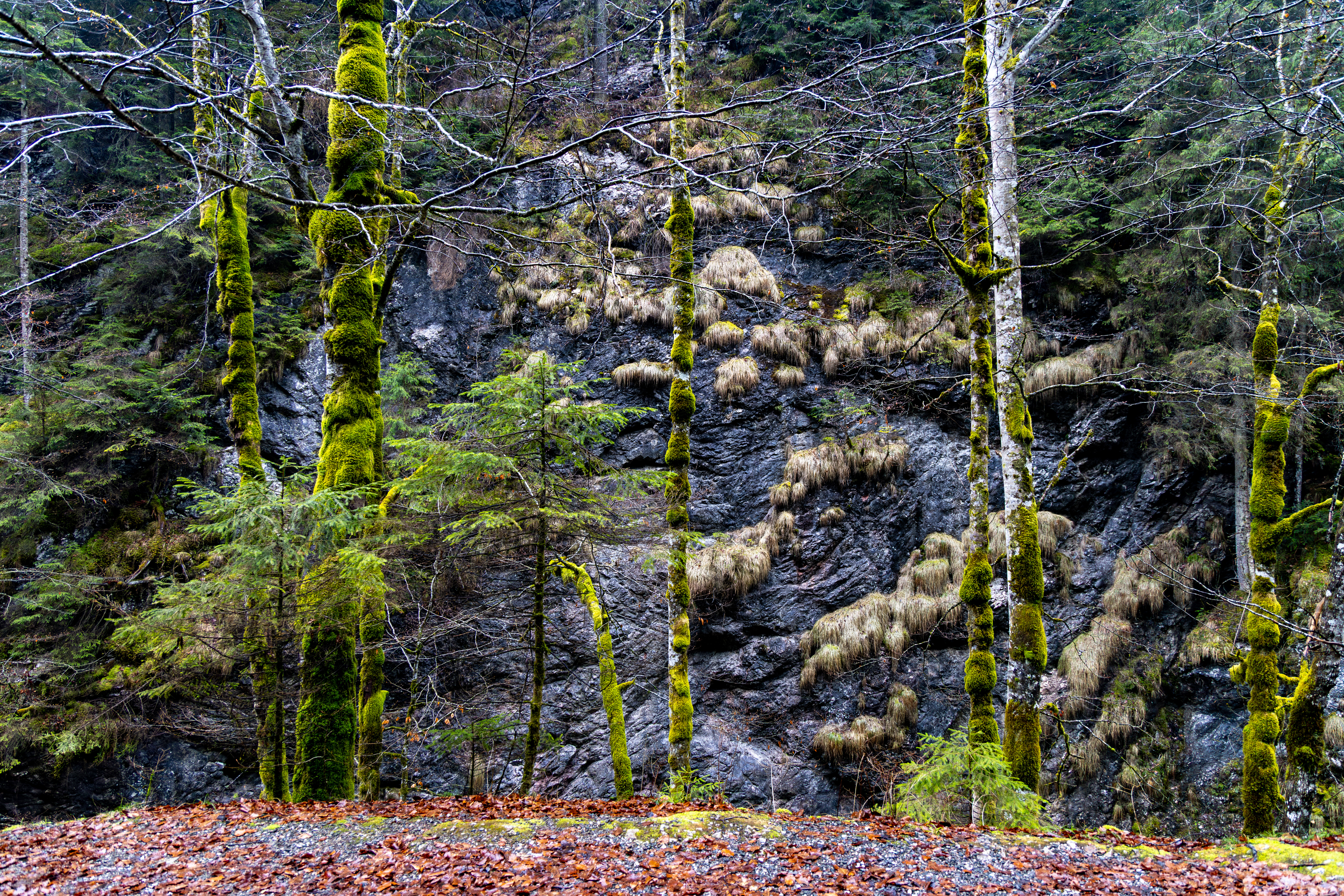 “Bízz azokban, akik az igazságot keresik, és kételkedj azokban, akik már megtalálták.” André&nbsp;Gide