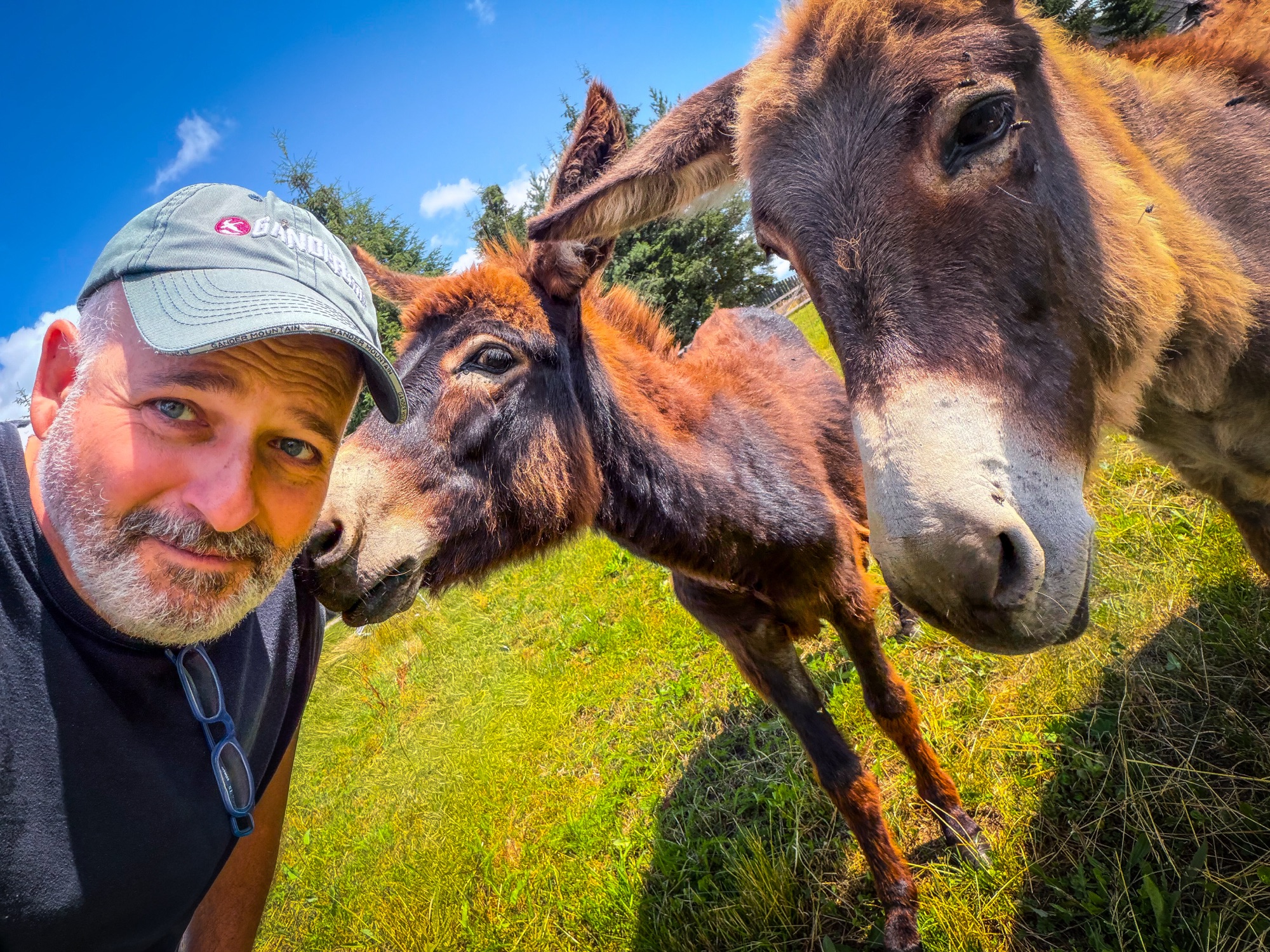 A három szamár…(A társaság IQ-ja rendben van.Csak nehéz eldönteni,&nbsp;kinél.)